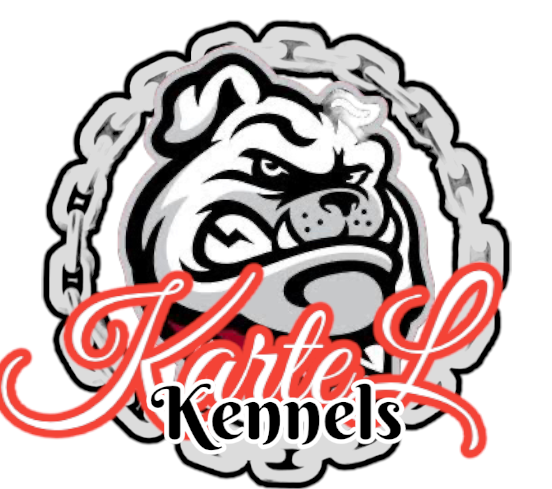 Kartel Kennels